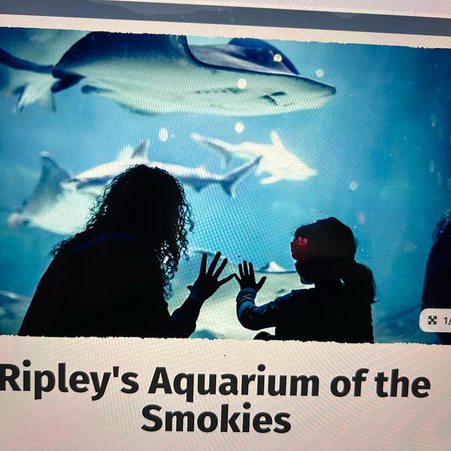 Aquarium