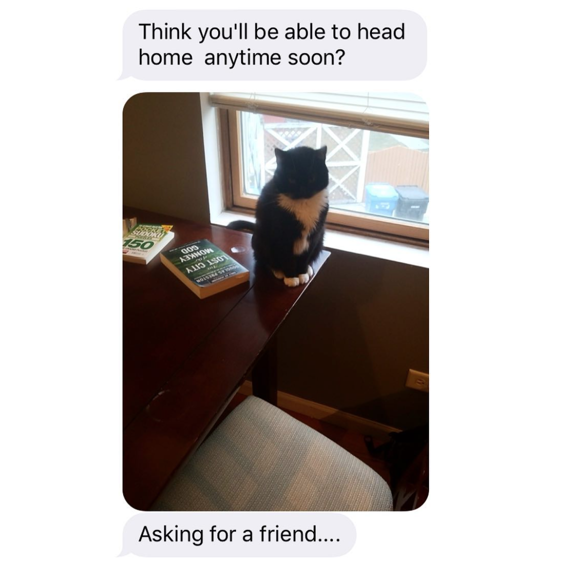 One of the cutest texts I've gotten from Rob. If it's possible, I think he loves Margo even more than I do. He's the best cat dad I could ask for.