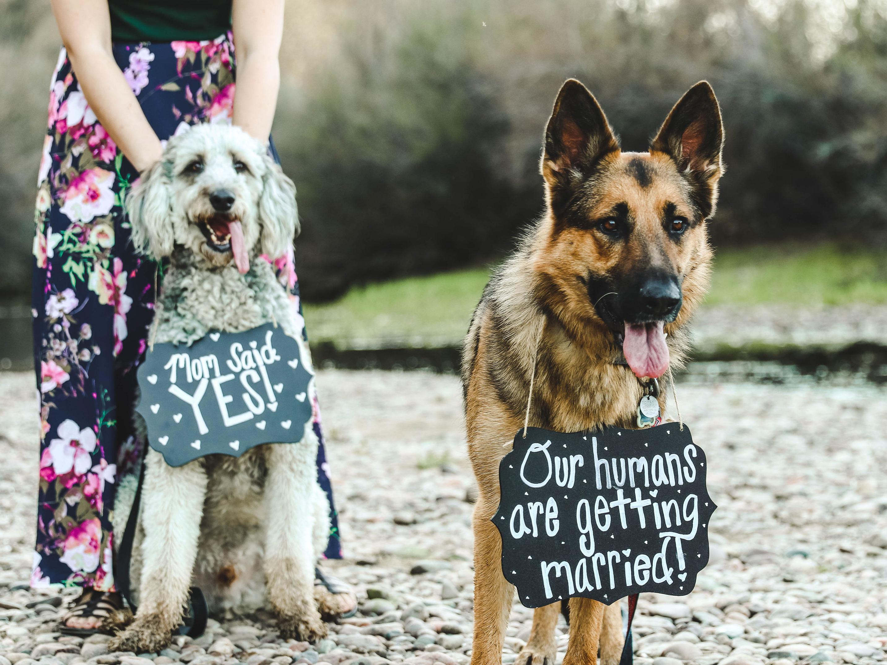 The Wedding Website of Katie Simpson and Tylor Klep