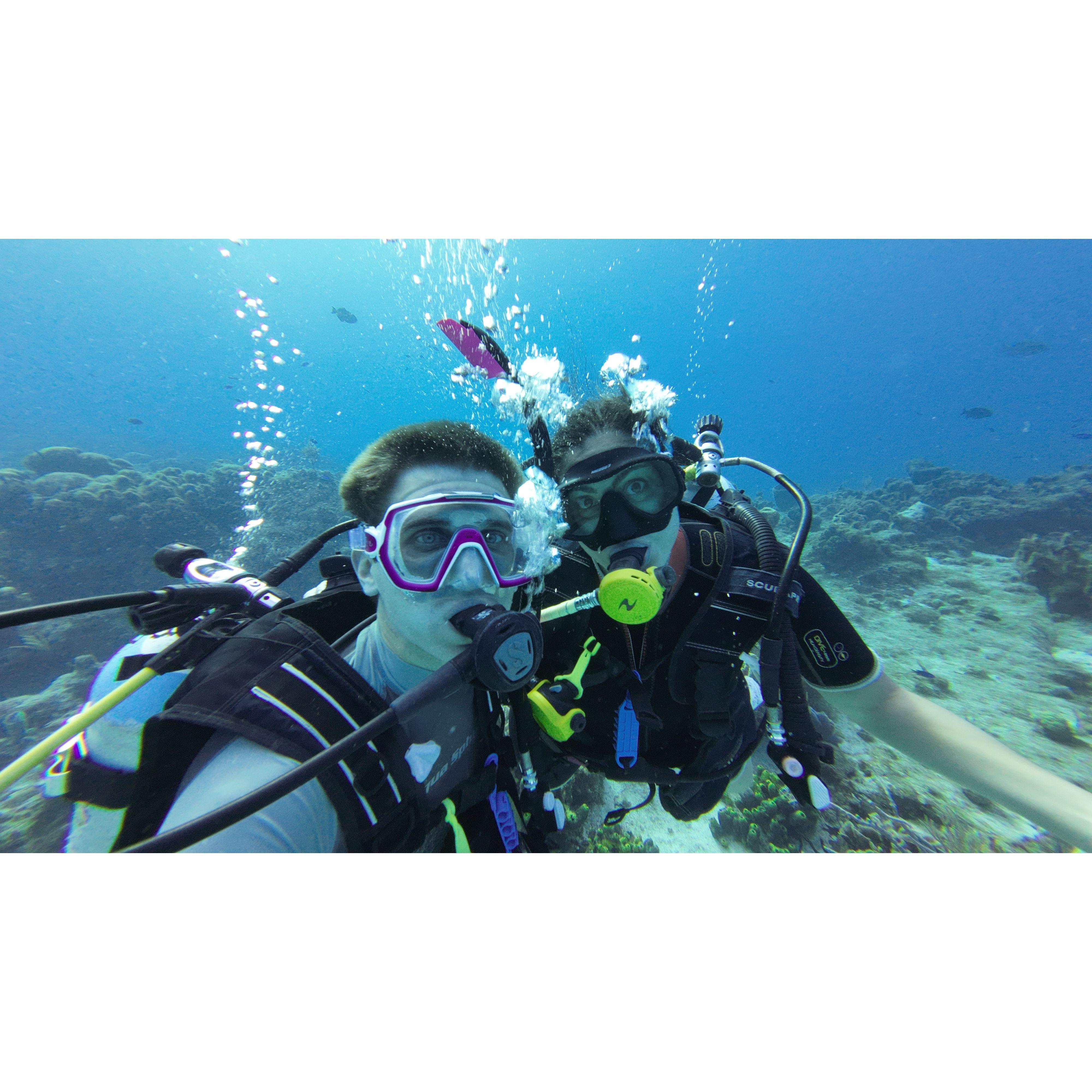 Diving in Cozumel earlier this year!