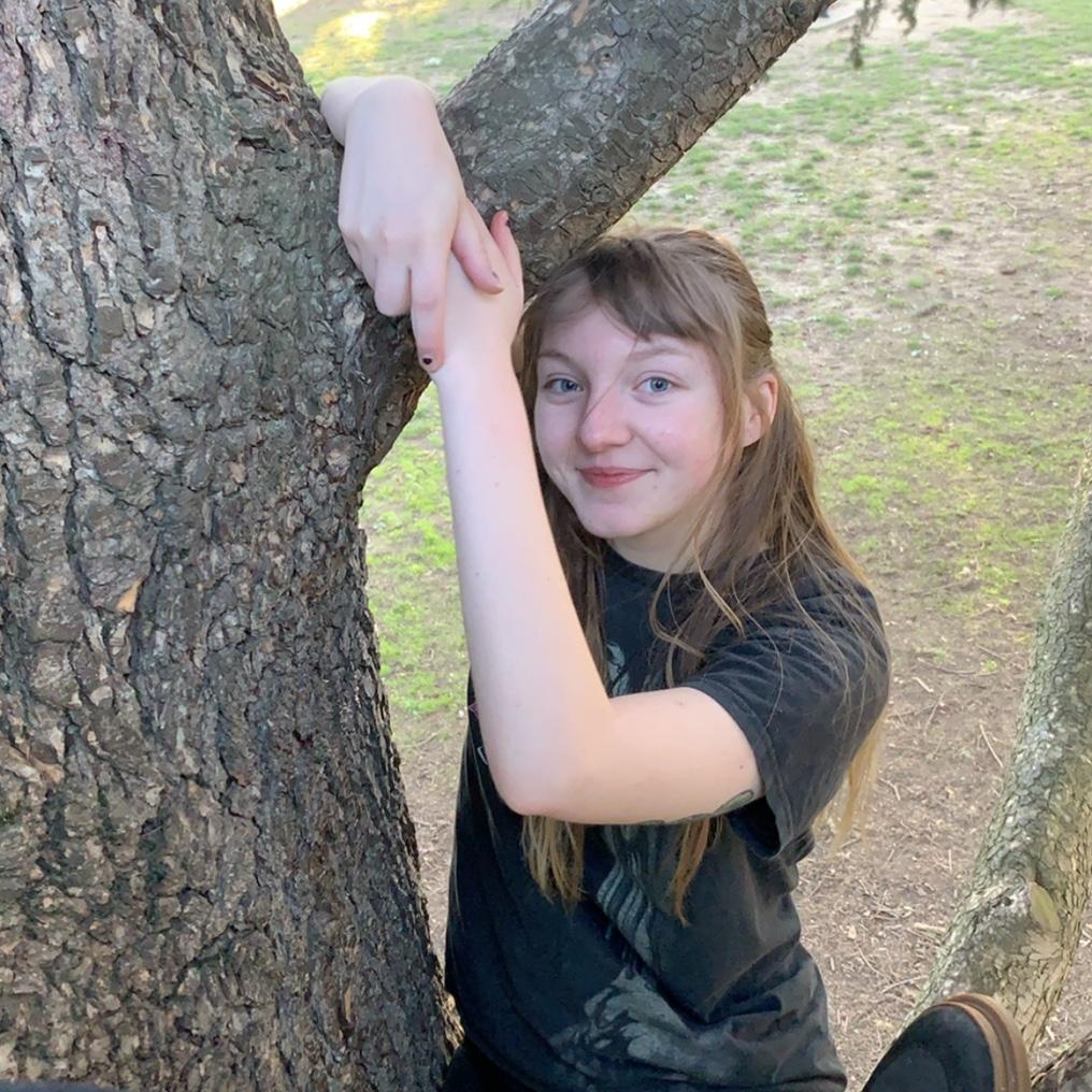 Tree climbing pre-covid!