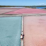 Lagunas Rosadas Y Dunas De Sal