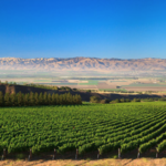River Road Wine Trail