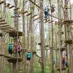 Navitat Canopy Adventures