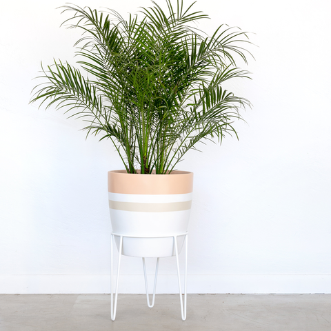 Saturn Planter 13.5"