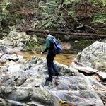 Scott’s Run Nature Preserve