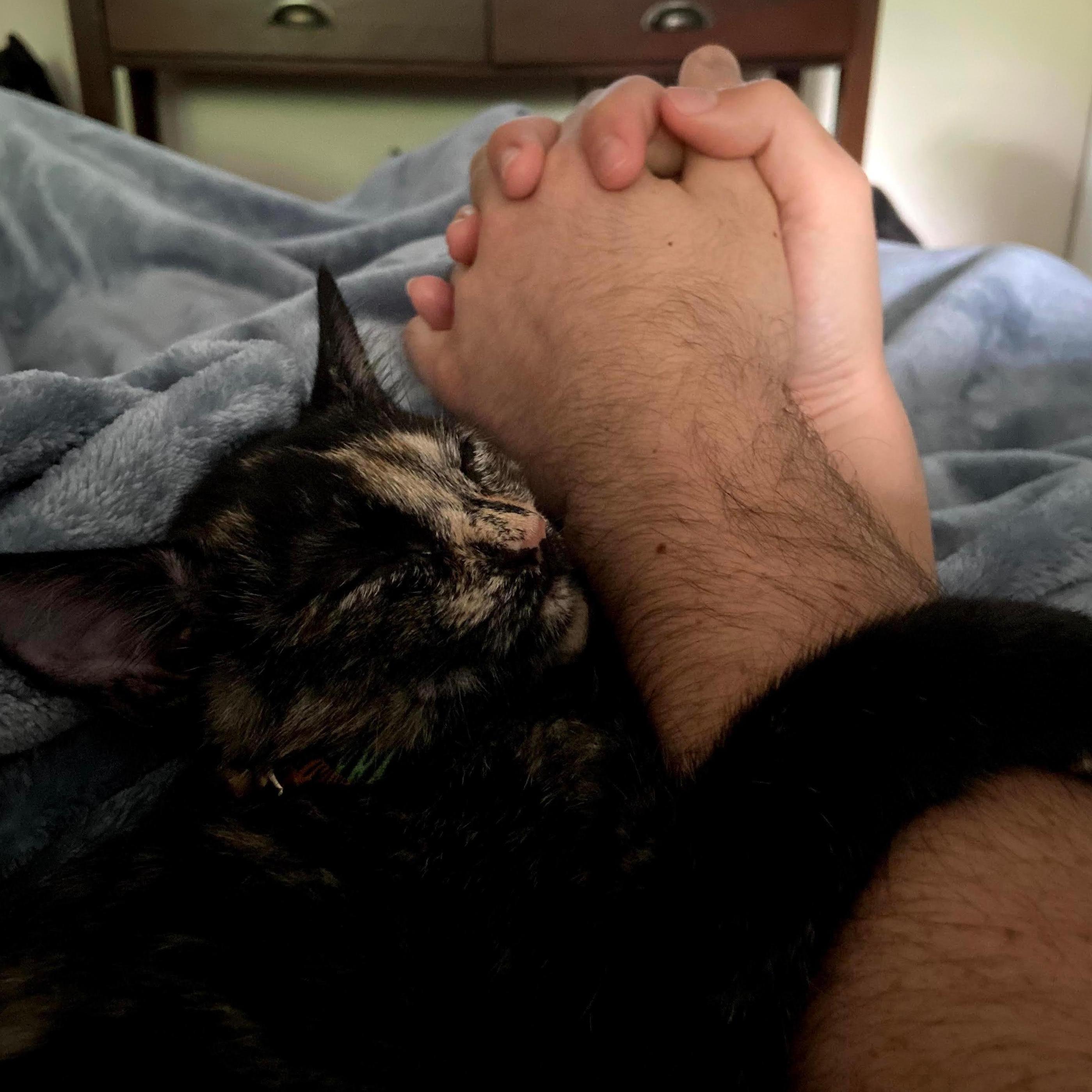 Our fur baby, Bali!