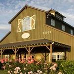 Ponte Winery