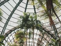 San Diego Zoo