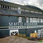 Seattle Aquarium