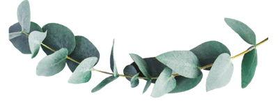 The Wedding Website of Tommaso Rais and Roberta Bontempi