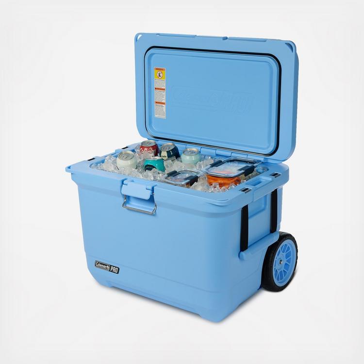 Coleman, Pro 55-Quart Hard Cooler | Zola