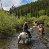 Beaver Meadows Stables