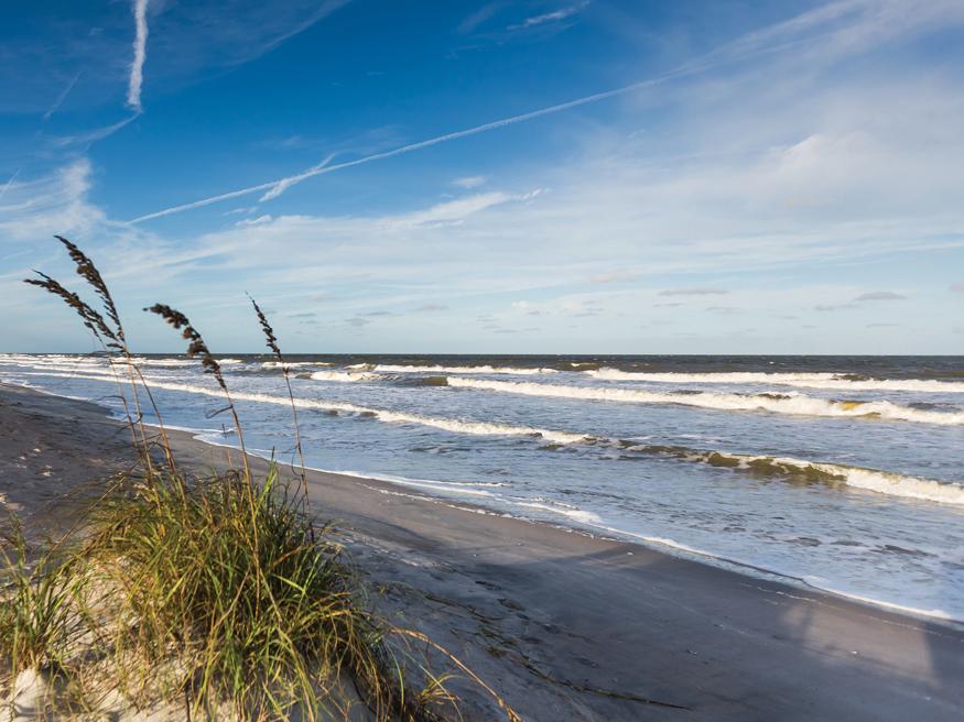 The Wedding Website of Erin Michelle Bingham and Robert Clayton Zelin III