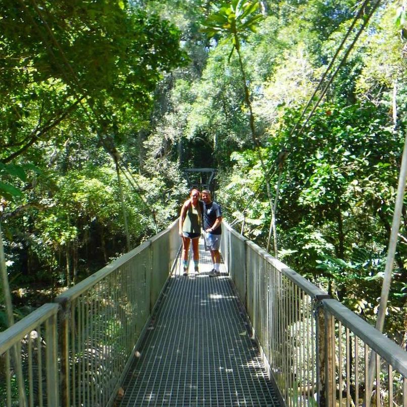 Exploring the Daintree Rainforest