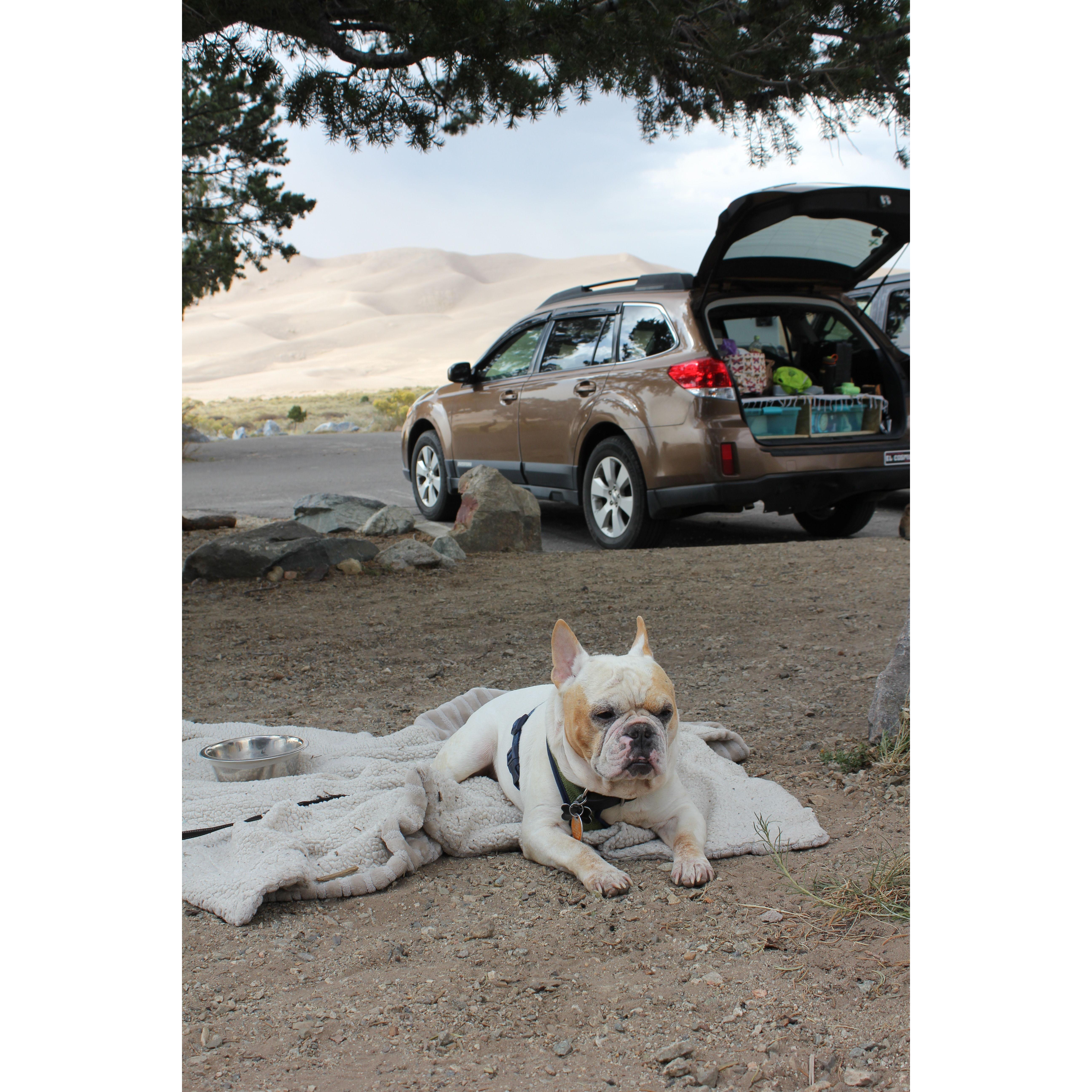 Great Sand Dunes NP