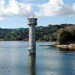 Lamorinda & Walnut Creek