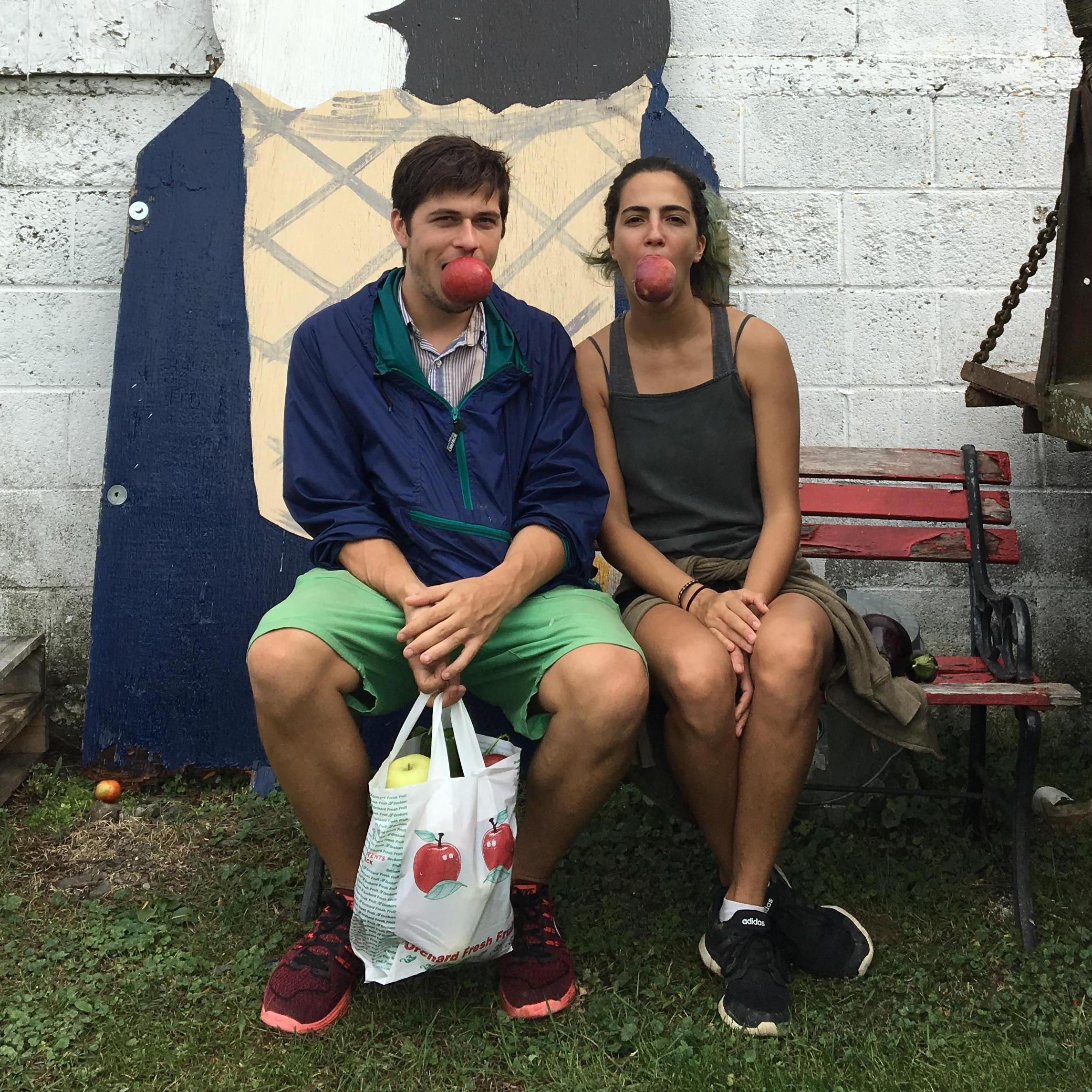 Apple pickin. 
(New York, 2017)