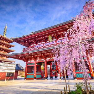 Japan Honeymoon Fund
