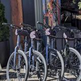Bike Rentals