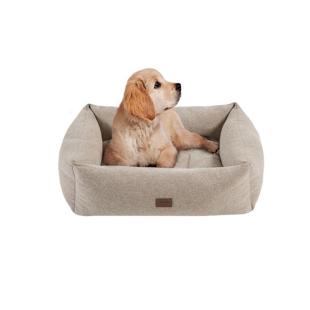 Charlie Large Memory Foam Pet Bed with Removable Cover