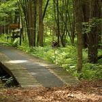 Audubon Community Nature Center