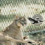 Busch Wildlife Sanctuary