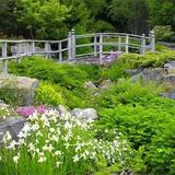 MUN Botanical Garden