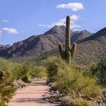 McDowell Sonoran Preserve Gateway Trail