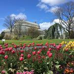 Smell the roses at the National Botanic Gardens