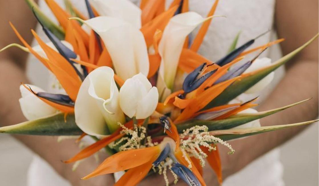 The Wedding Website of Amber Dunmire and Danny Clark