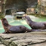 John Ball Zoo