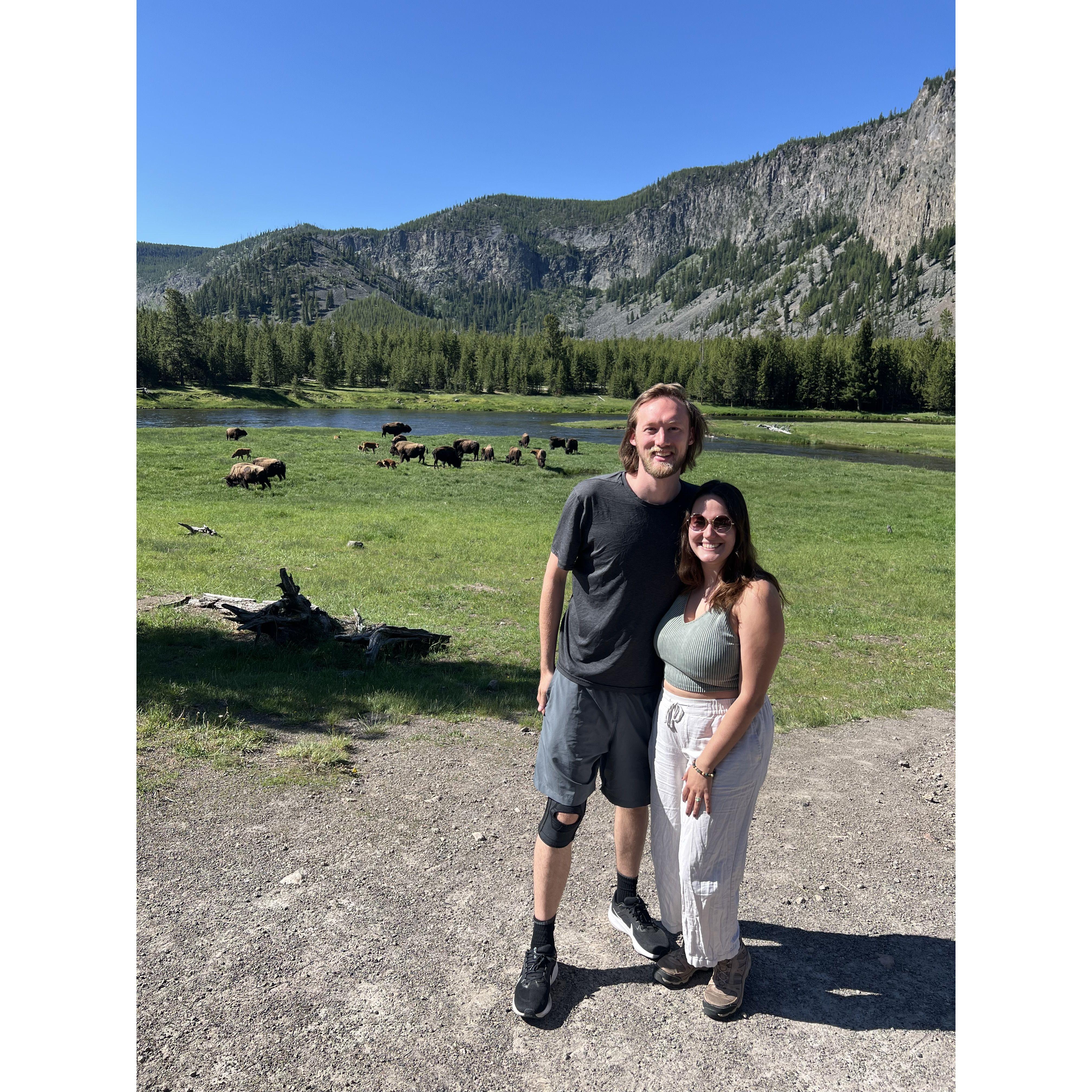 Yellowstone!