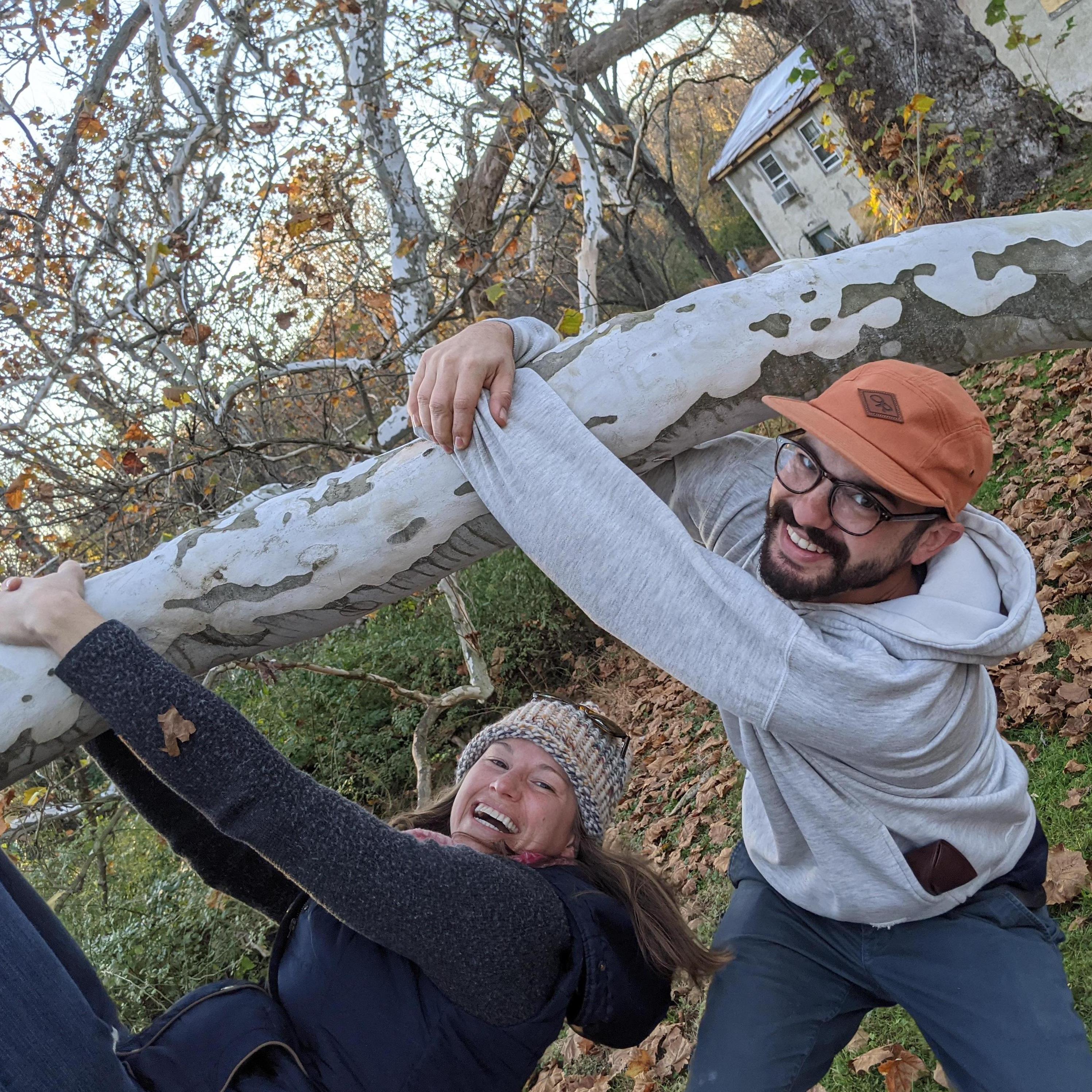 Pawling Sycamore, Schuylkill River Trail, PA - 2021