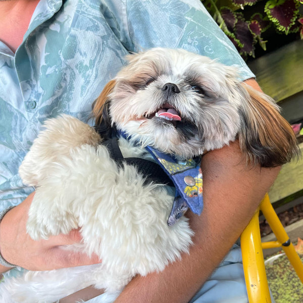 Scout’s Pet Toy Fund