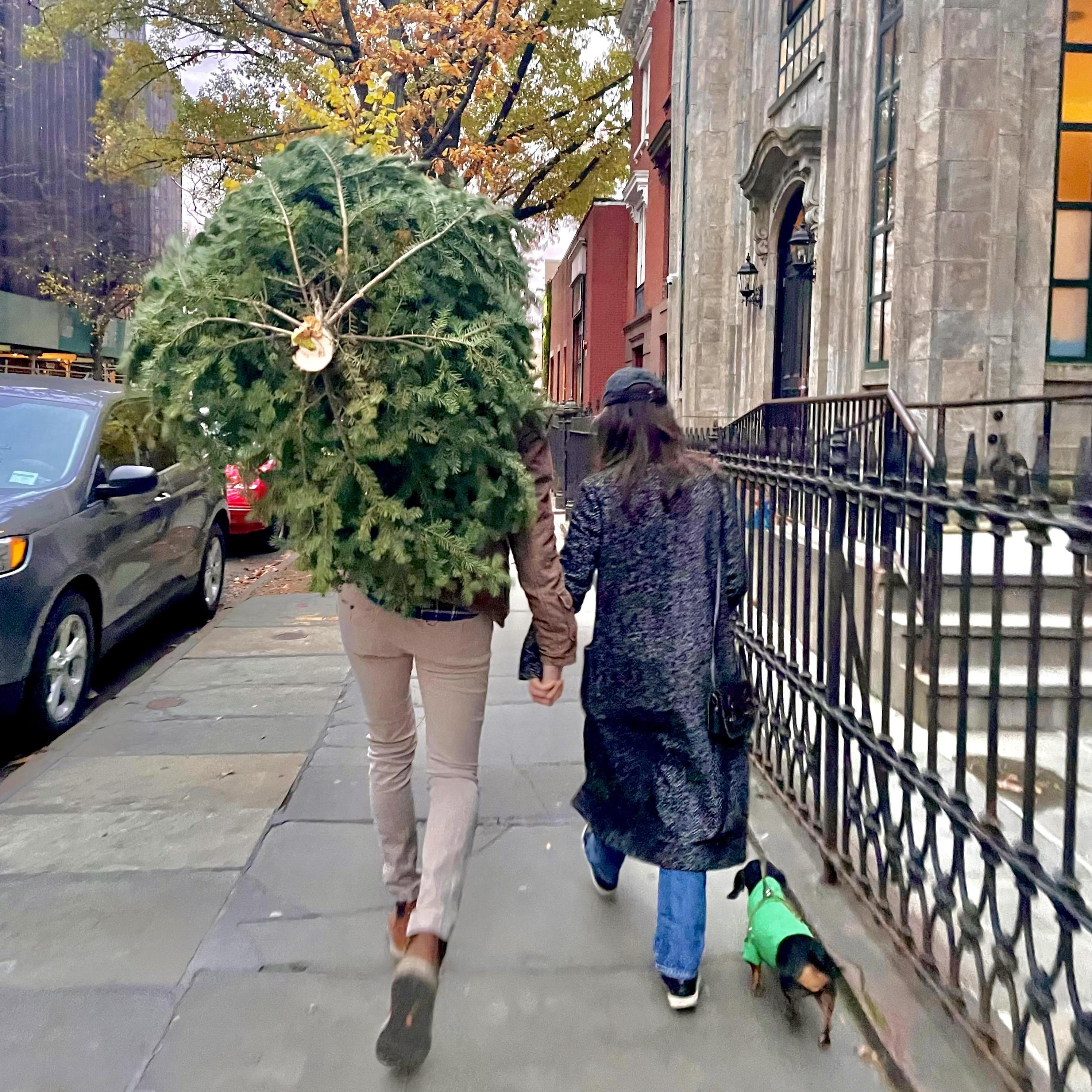 Walking back home with our 7 foot Christmas tree