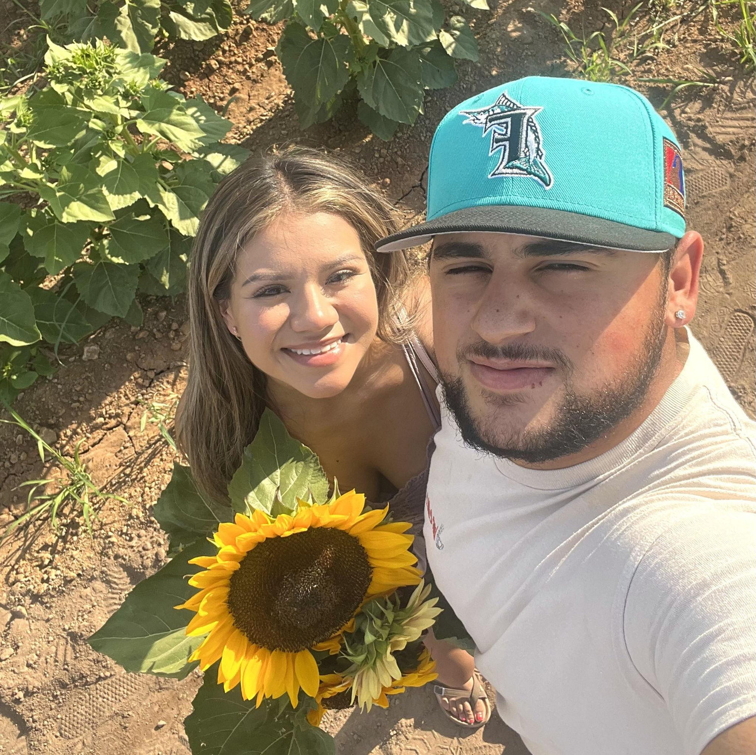 Sunflower field
