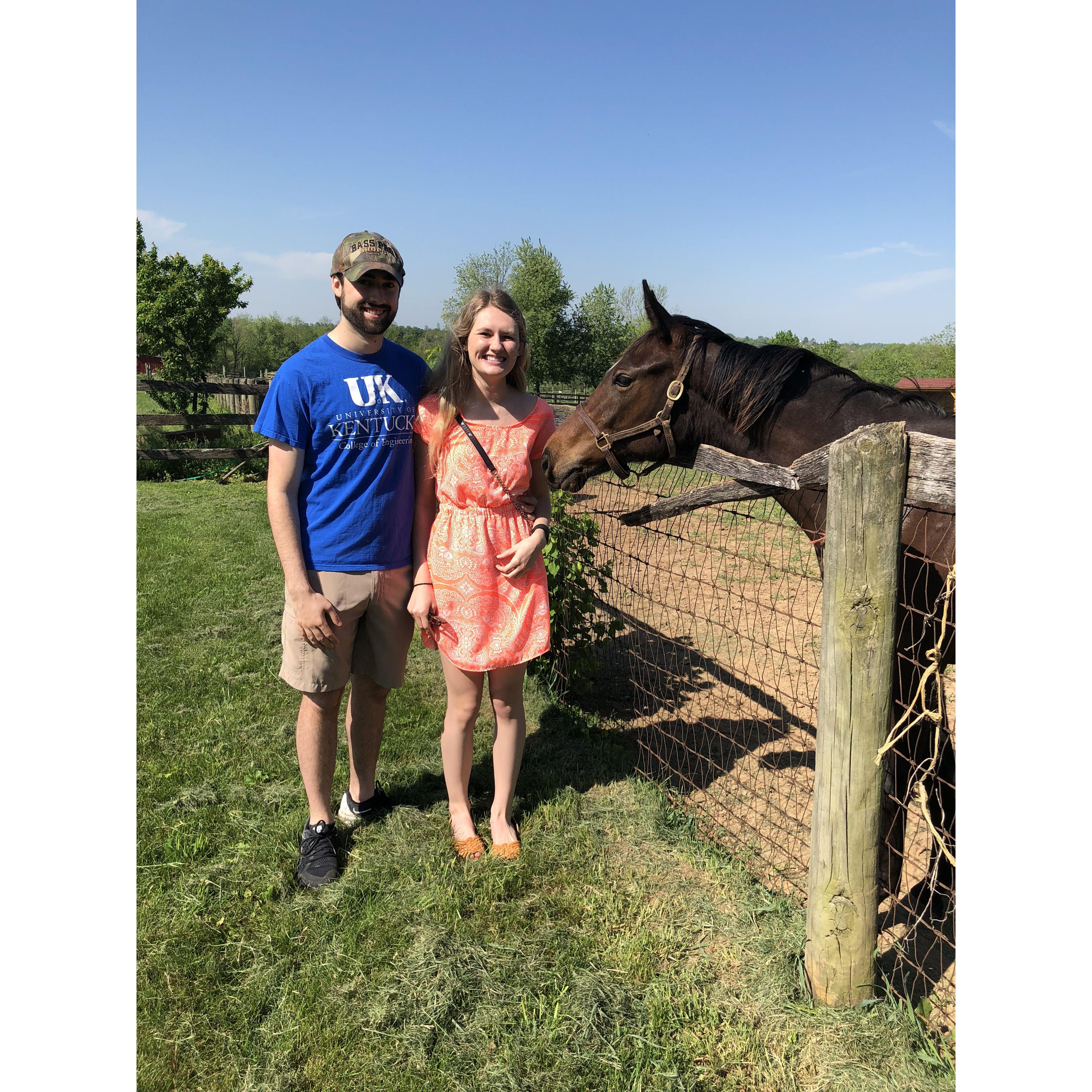 A horse farm while we hit the Bourbon Trail during the summer of 2018