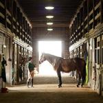 Horseback riding at Oglebay