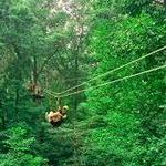 Long Hollow Canopy Tours