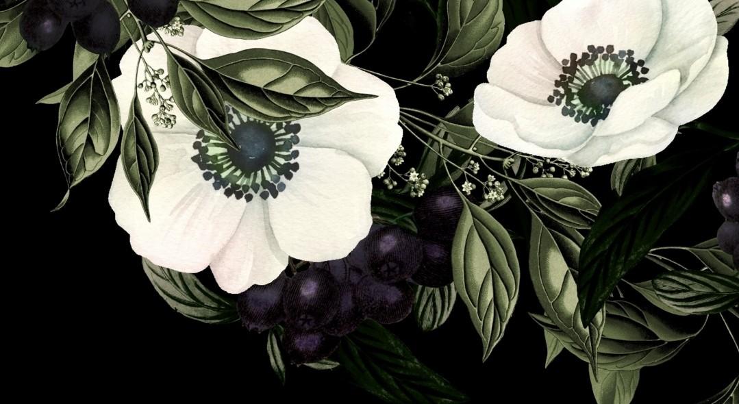 The Wedding Website of Carlos Ramos and Jennifer  Sweeting