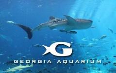 Georgia Aquarium