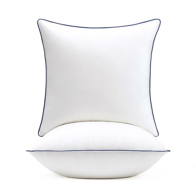 puredown® 20x20 Pillow Inserts Set of 2, Overfilled Down Alternative Decorative Pillows with 100% Cotton Cover, Plush Fluffy Throw Pillows for Couch, Sofa, Bed and Home Decor