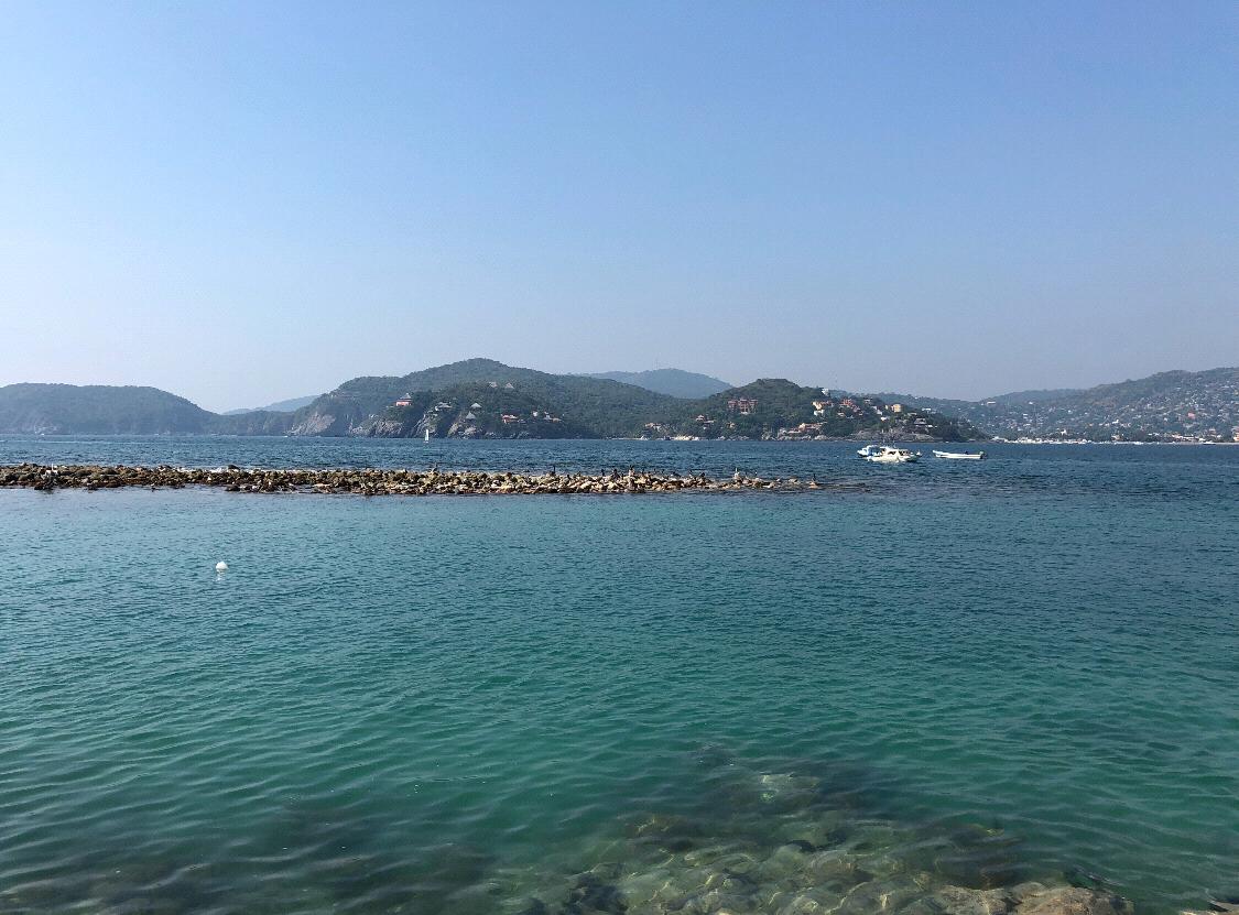 Playa Las Gatas, just a boat ride away!