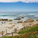 Asilomar State Beach