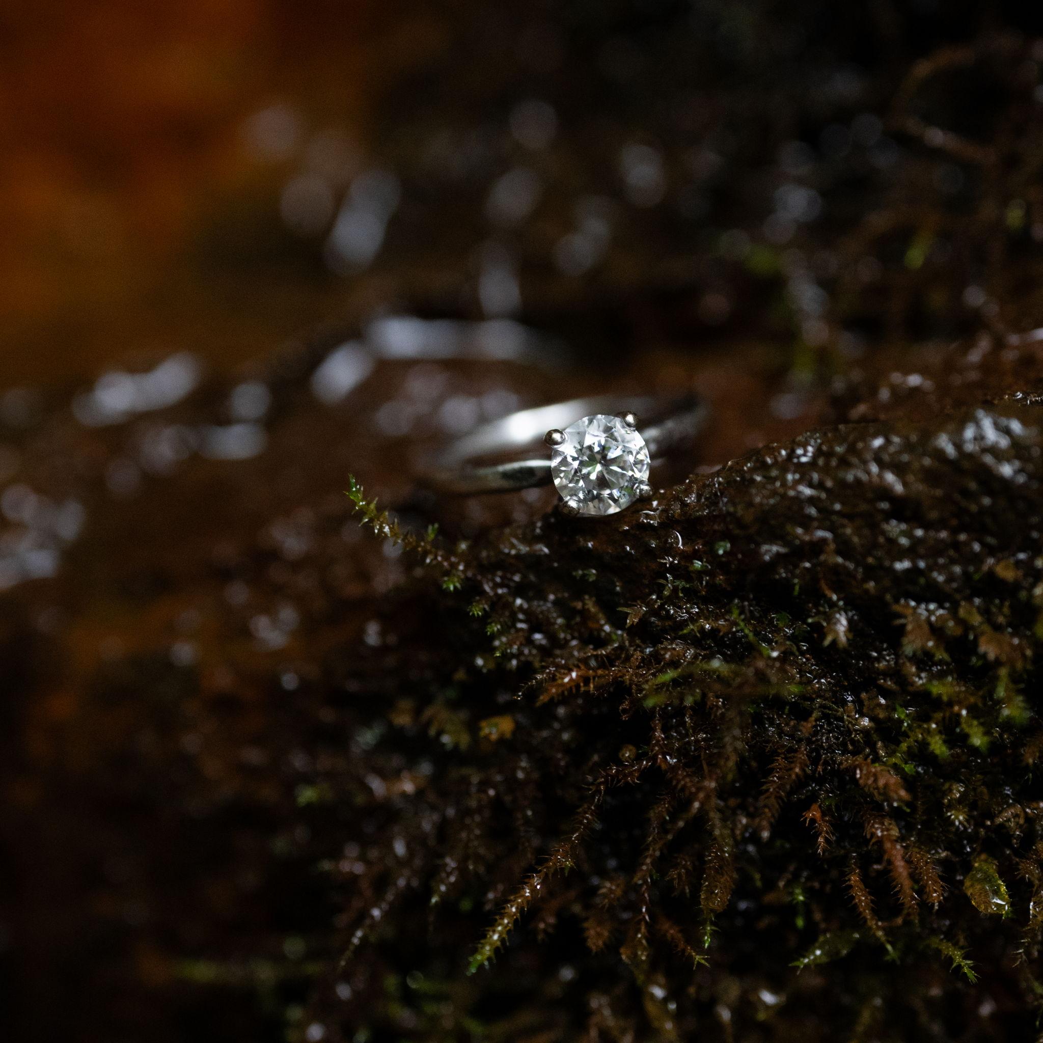 Photo taken by Christa Lee