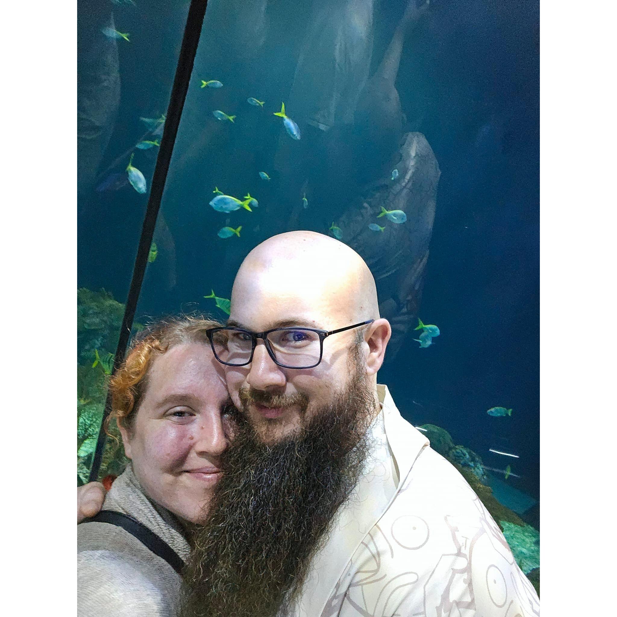 Shedd Aquarium date for Josh's Bday
