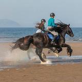Trump Turnberry Outdoor Activities