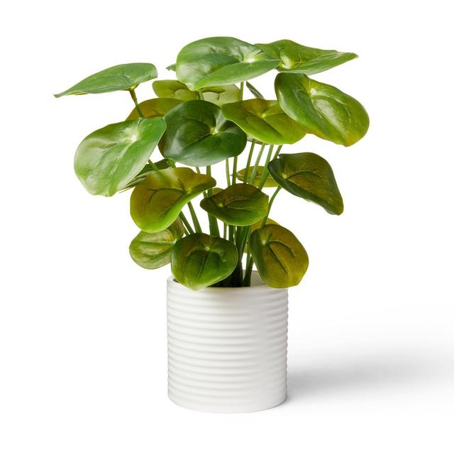 11.5" x 6" Artificial Pilea Plant in Ribbed Ceramic Pot White - Hilton Carter for Target
