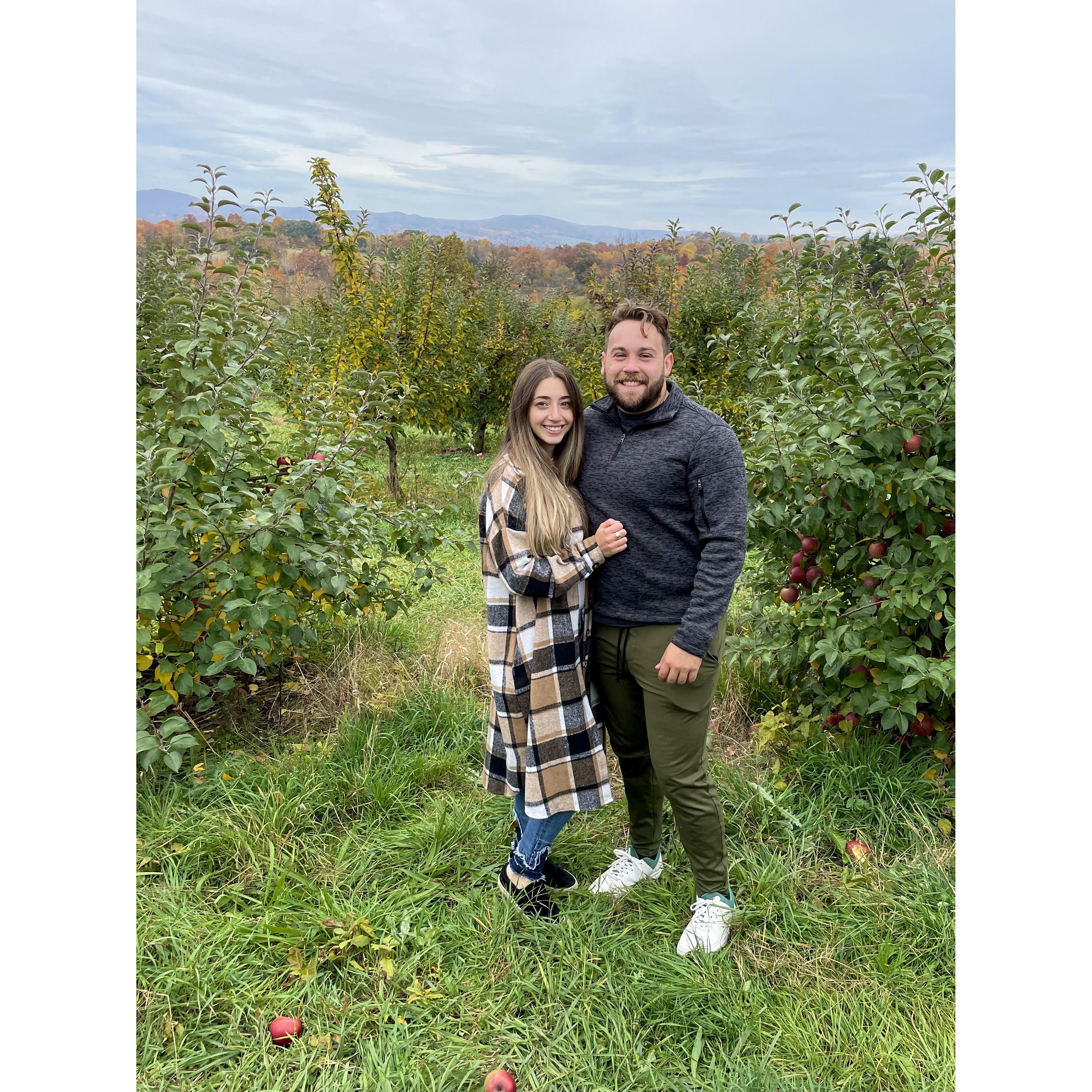 Apple picking at Dave's Orchard- October 2022